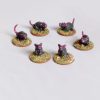 Rats - Animal