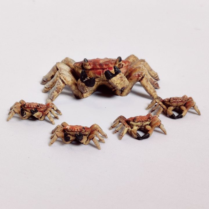 Crabs 1