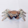 Giant Crab - Creature