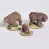Bears - Animal