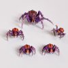 Spiders - Animal