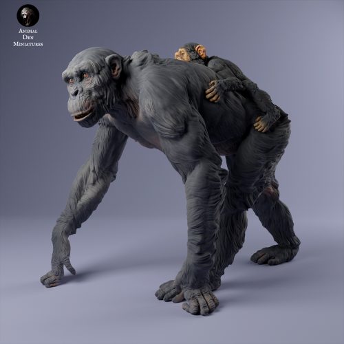 07862fa7 Chimp Female With Baby Walk 1 3