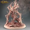 Treant Front
