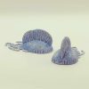 Giant Jellyfish
