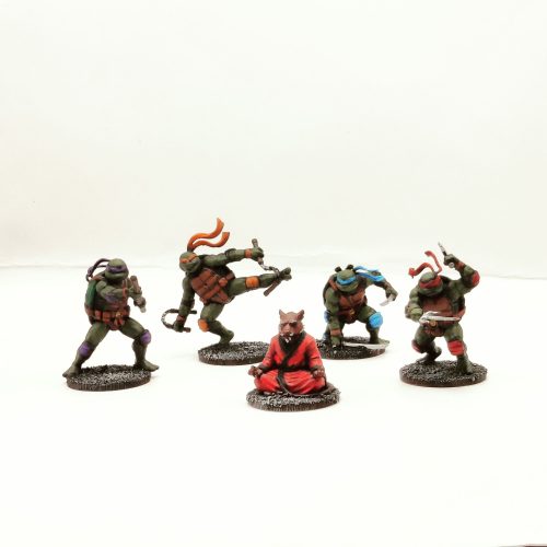Combat Turtles & Sensei